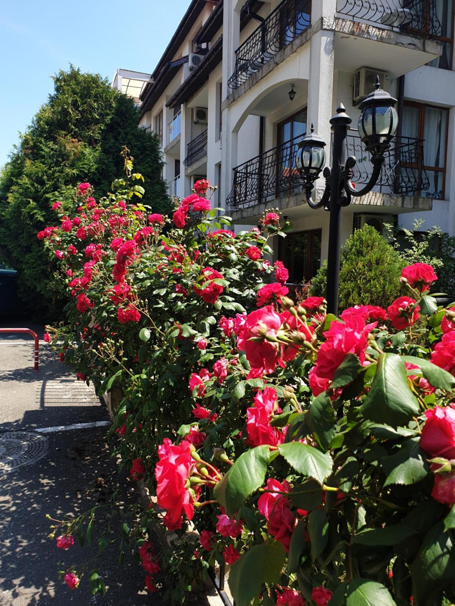 スヴェティ・ヴラスLa Terrace Sea Viewアパートメント 部屋 写真